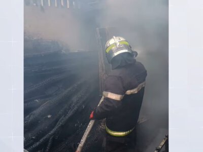 Буковинські рятувальники гасили вогонь, рятували чотирилапого і знешкоджували шершнів у дитсадку