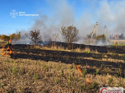 На півночі Житомирщини горіла суха трава: вогонь впритул наблизився до господарських будівель