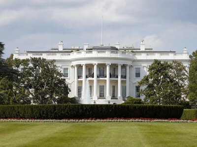 США призупинили для Microsoft та семи компаній процедури грін-карт