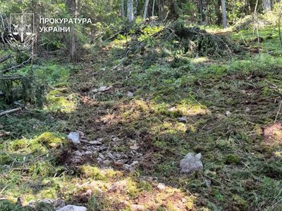 На Буковині викрили незаконні рубки дерев зі збитками понад 1,6 млн грн: трьох людей судитимуть, ще троє отримали підозри