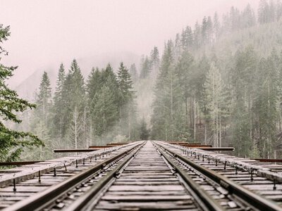 Ремонт залізниці в Румунії тимчасово стримує експорт українського збіжжя