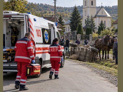 На Перечинщині перекинувся віз із кіньми: 16-річна дівчина зламала плече