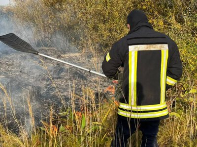 У селі Підбереззя Горохівської громади гасили пожежу в екосистемі
