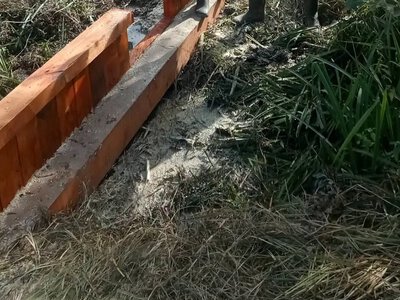 Долину нарцисів на Закарпатті рятують від зневоднення: облаштували ще один шлюз