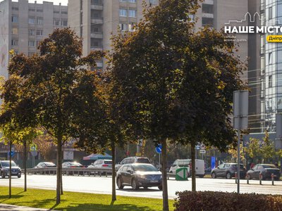 Прогноз погоди на 10 жовтня: сухо та комфортно у Дніпрі і області