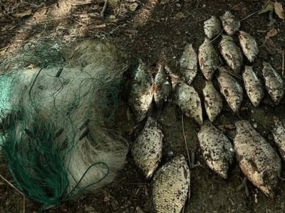  У заповідній зоні на Херсонщині незаконно виловили рибу на понад 217 тисяч гривень 