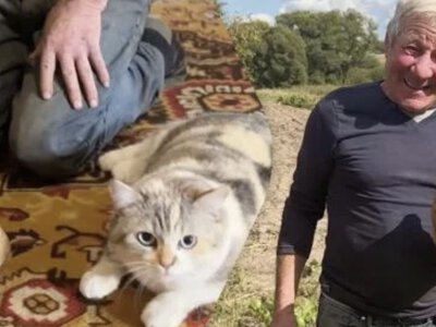 На Чернігівщині виростили картоплину майже на 2 кг: з неї вийшло б близько 50 дерунів