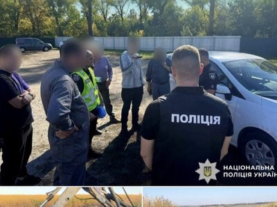 Зупинили підпільні скотомогильники