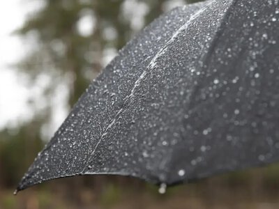 Дощі охоплять захід, північ і Вінниччину - прогноз погоди у неділю, 11 жовтня