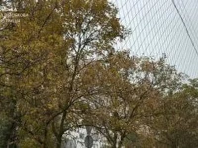 Працівники КП «Парки Херсона» прибирають опале листя попри обстріли