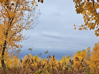 Дощі лише в Карпатах: погода в Україні на неділю, 11 жовтня