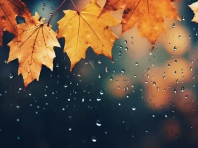 Погода на Львівщині 11 жовтня: коли почнуться дощі