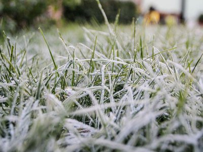 Похолодання в Україні: чи очікувати заморозків найближчим часом