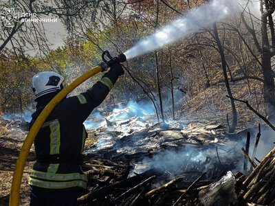 На Вінниччині за добу сталися 20 пожеж в екосистемах
