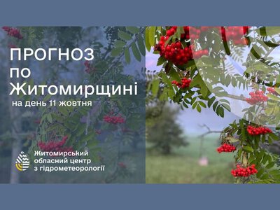 Погода сьогодні на Житомирщині