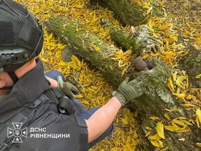 На Рівненщині виявили боєприпаси часів Другої світової війни