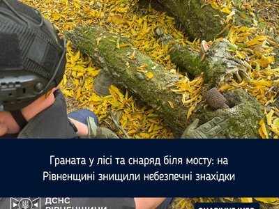 Граната у лісі та снаряд біля мосту: на Рівненщині знищили небезпечні знахідки