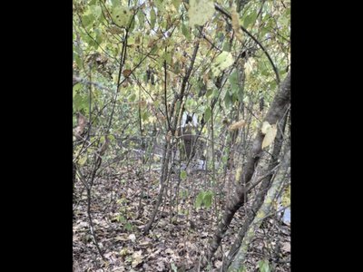У Молдові вибухнув дрон поблизу села Джамена