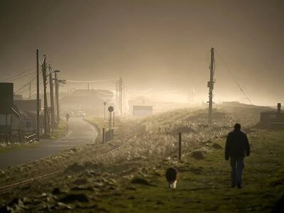 Вчені назвали 17 катастрофічних загроз для людства до 2100 року: дві з них ведуть до вимирання