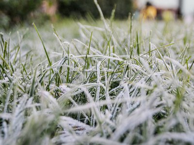 На Закарпатті прогнозують нічні заморозки та поступове похолодання