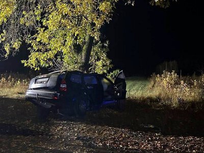Авто на швидкості в’їхало в дерево: загинув 27-річний водій та юнаки віком 15 і 17 років — PMG.ua