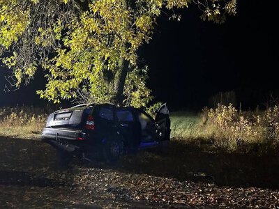 На Мукачівщині внаслідок аварії загинули водій та двоє неповнолітніх пасажирів