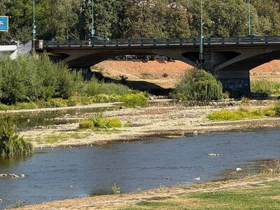  На Закарпатті вирішують, як подолати проблему обміління річок 