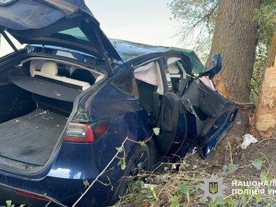 Tesla влетіла в дерево під Кременчуком: травмовано двох дітей і двох жінок