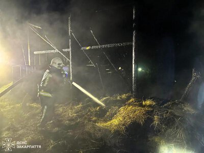 У Жденієві під час пожежі врятували двох свиней і корову