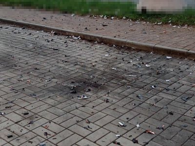 На Херсонщині дрони поранили жінку та чоловіка: поліція про наслідки атак за добу