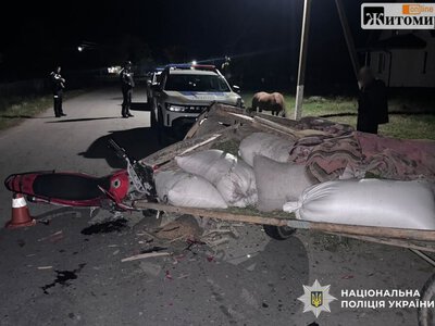 На Звягельщині мотоцикл зіткнувся з возом: трьох людей госпіталізували