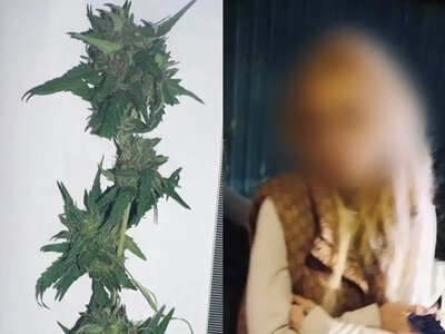 Замаскувала в сітчастій кишені: у Рівному пасажирка таксі зберігала наркотики