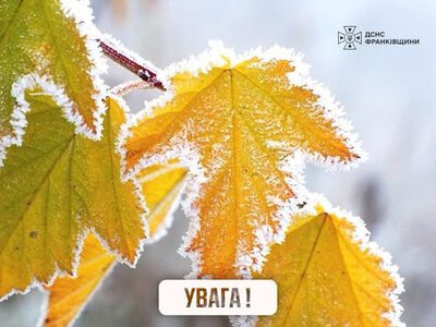 На Прикарпатті оголосили помаранчевий рівень небезпечності через сильні заморозки