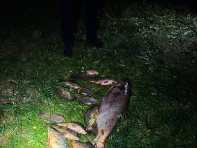 На Вінниччині викрили браконьєра із трьома сітками: збитки перевищили 53 тисячі гривень