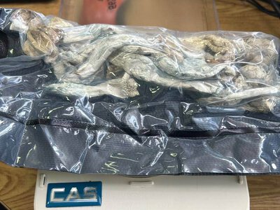 У посилці зі США до Умані митники знайшли канабіс, смолу канабісу та гриби з псилоцином