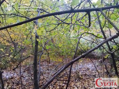 Підозрюють витік нечистот: біля села Довжик екологи перевіряють тисячу квадратних метрів ґрунту