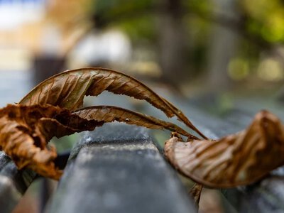  Коли на Херсонщині очікують дощі та похолодання 