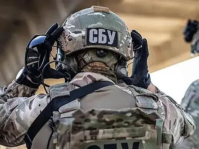 У СБУ заявили, що вчений із Миколаївської області намагався вивезти за кордон секретні розробки