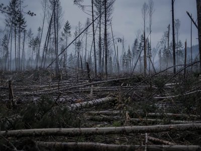 Тунгуський вибух 1908 року пов’язують із повітряним вибухом астероїда