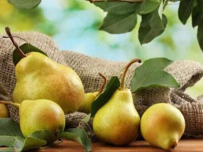 Який фрукт багатий на клітковину та корисний для серця