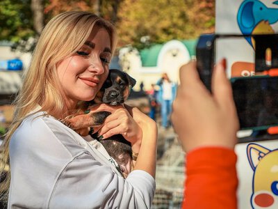 У Миколаєві на виставці бездомних тварин нових господарів знайшли 13 собак та кішок