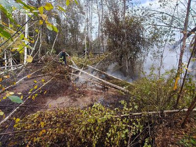 Рятувальники ліквідували пожежу торфу на 0,1 га на Ковельщині: деталі
