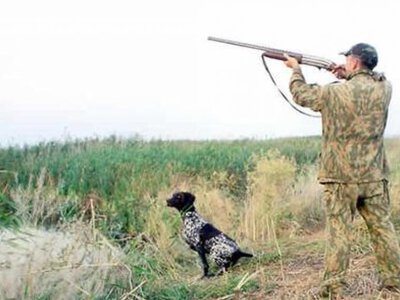 На Одещині погодили полювання через зростання чисельності хижаків: де саме
