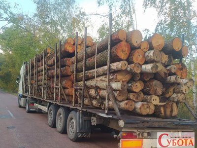 Volvo і DAF із деревиною патрульні зупинили на Житомирщині через розбіжності в документах та маркуванні