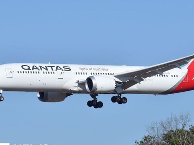 Qantas скасувала рейс через появу постільних клопів у літаку