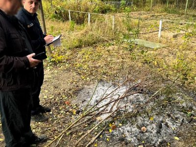 «Звична господарська» дія може принести кількатисячний штраф — PMG.ua