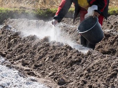 Осіннє удобрення городу: правила та поради агрономів