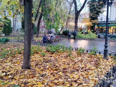 Осінь покаже свій характер: яка погода буде в Одесі 14 жовтня