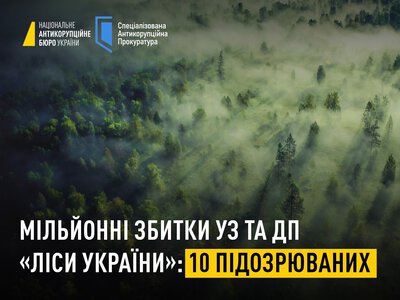 Розкрадання 26,8 млн грн Укрзалізниці та «Лісів України»: НАБУ та САП викрили «тіньовий офіс», під підозрою 10 осіб
