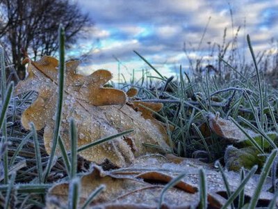 Заморозки та до 14° тепла вдень: якою буде погода в регіоні 14 жовтня